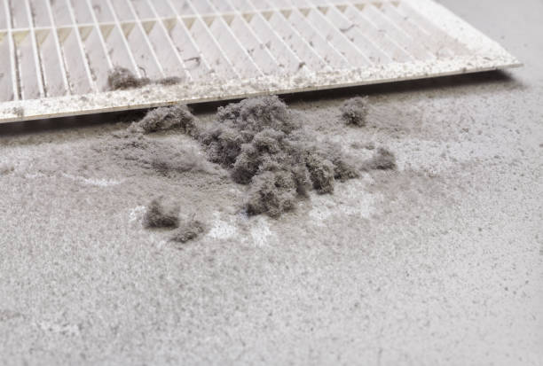 Best Affordable Duct Cleaning Services  in Avilla, IN