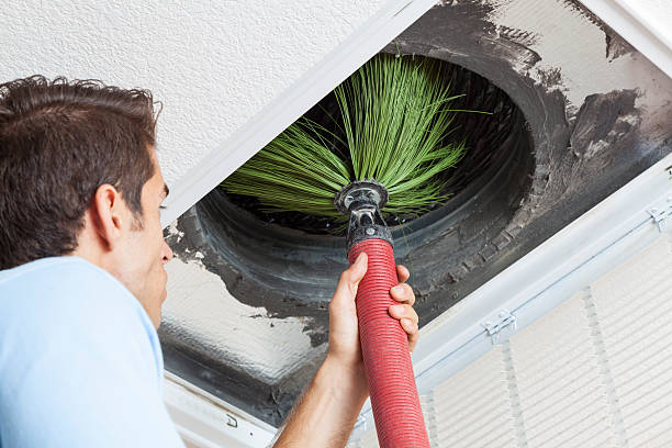 Best Duct Cleaning for Homes  in Avilla, IN